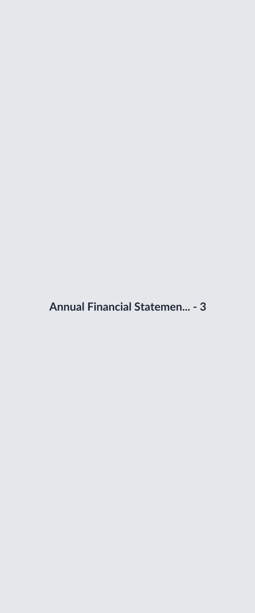 Annual Financial Statement Review