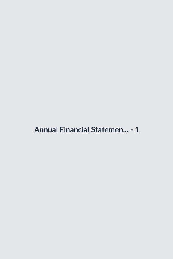 Annual Financial Statement Review thumbnail 2