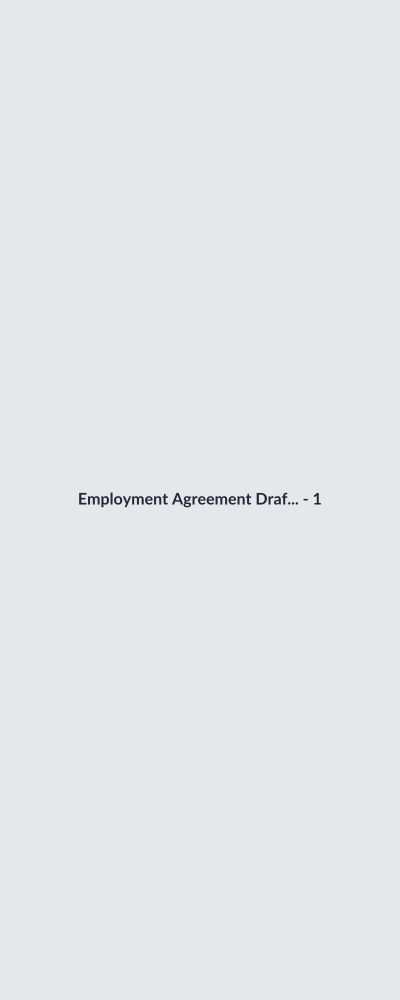 Employment Agreement Drafting thumbnail 2