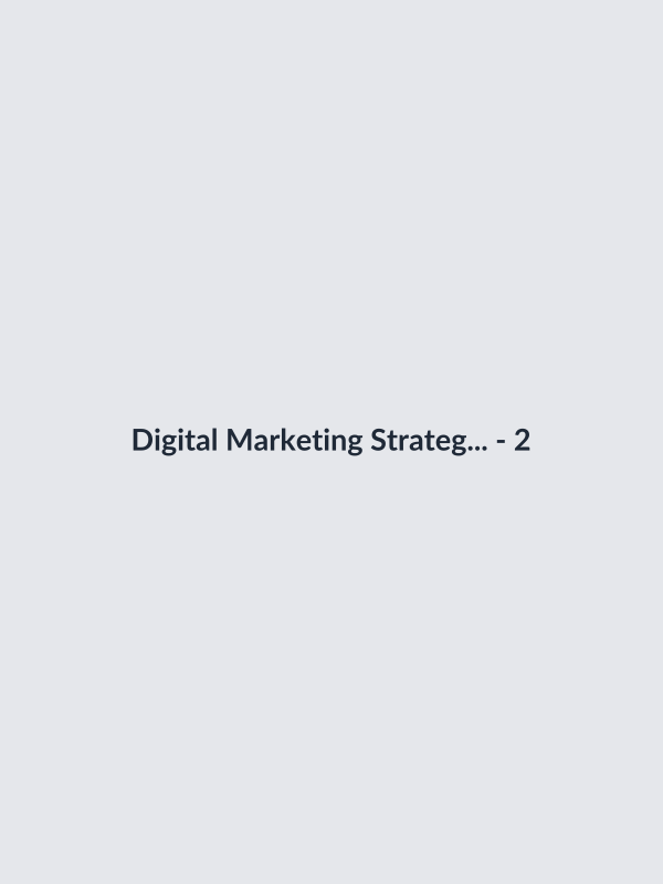 Digital Marketing Strategy Consultation thumbnail 3