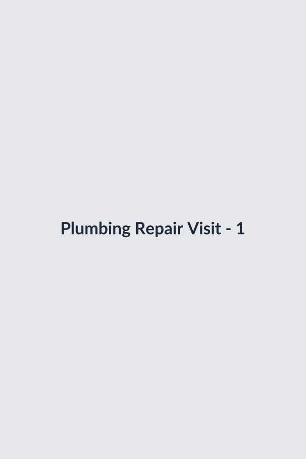 Plumbing Repair Visit thumbnail 2